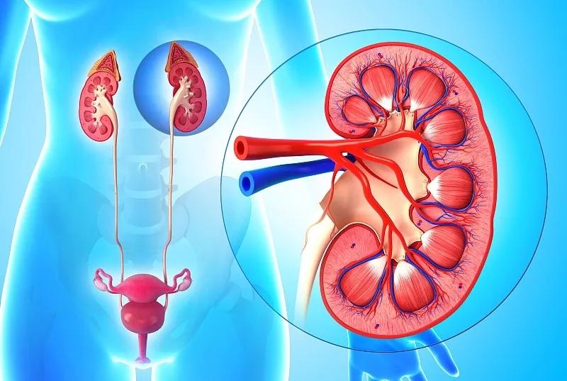 Beware: Taking this drug could cause kidney damage.