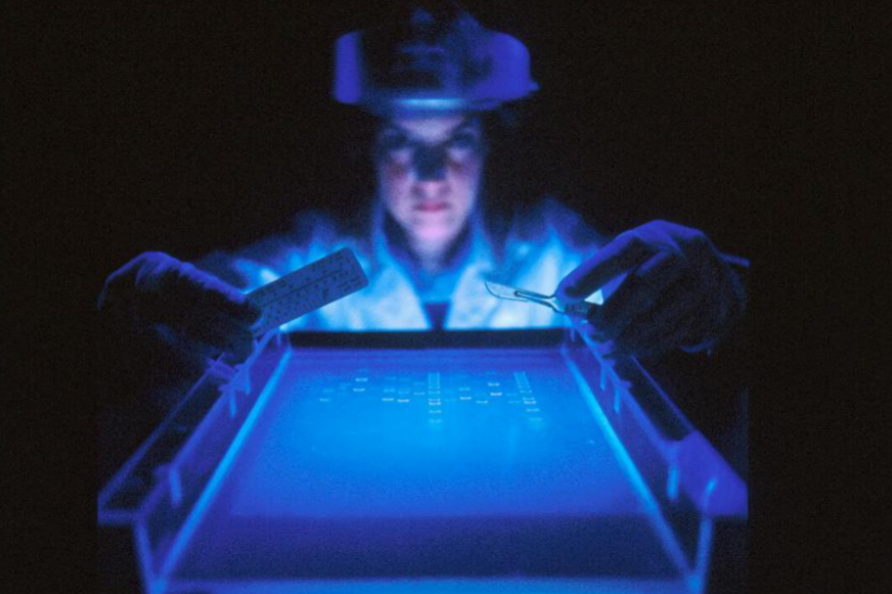 High-end medical examination: decoding the microscopic bluep